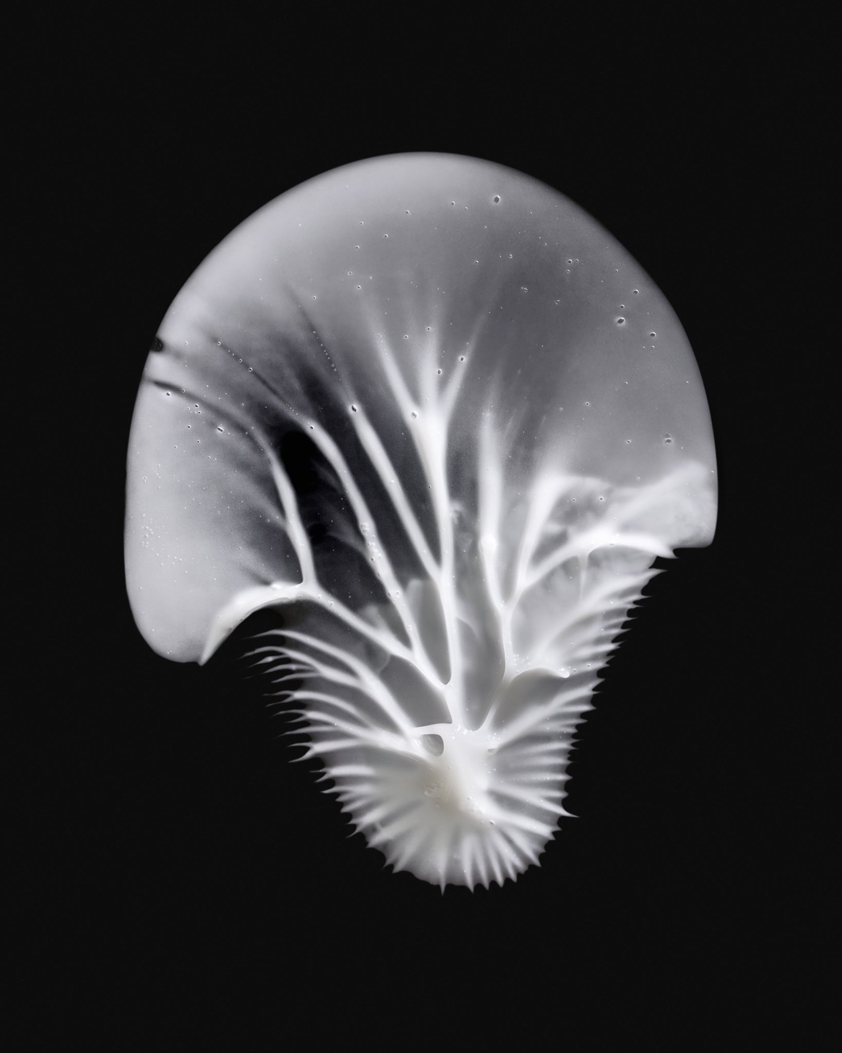 Texture close-up of MÁDARA Organic Skincare eye cream A3343 face cream �swatch demonstrates consistency and finish.